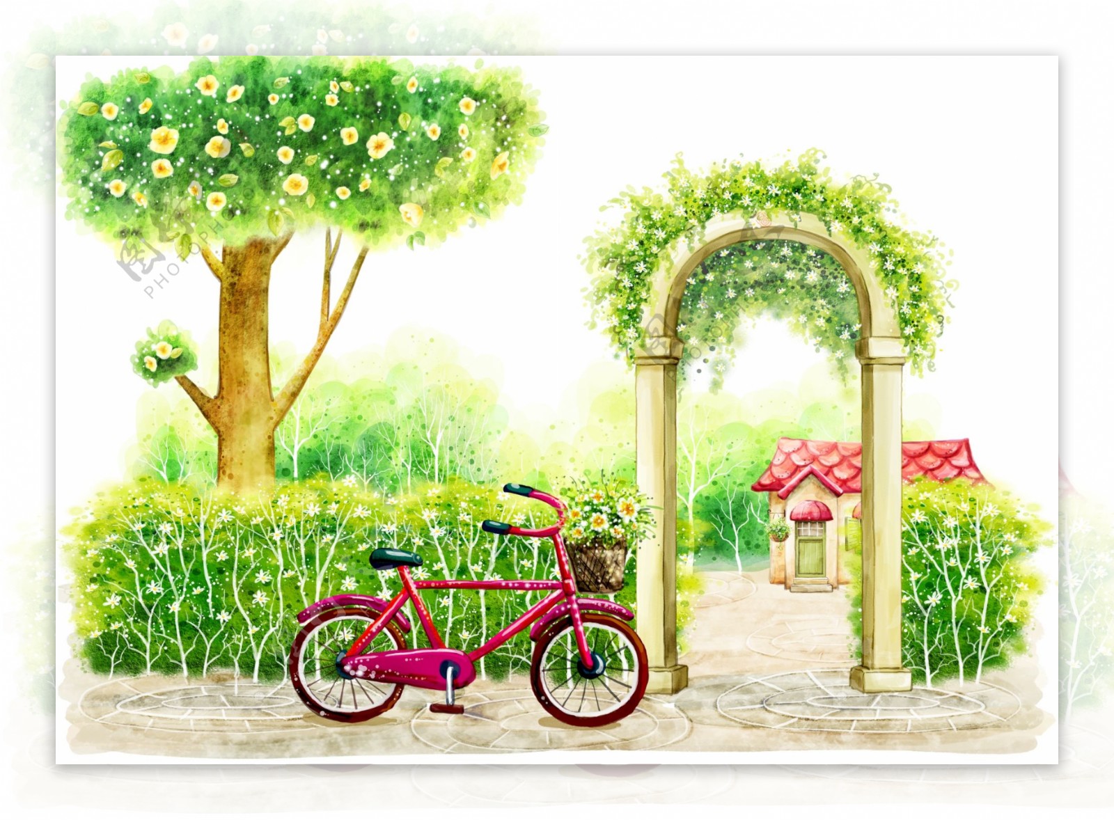 公园自行车插画