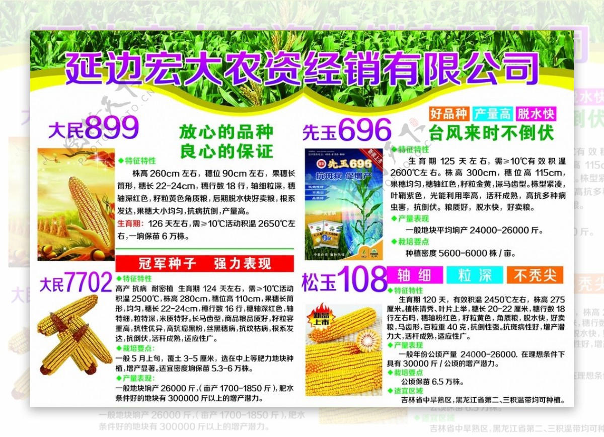 玉米种子宣传广告