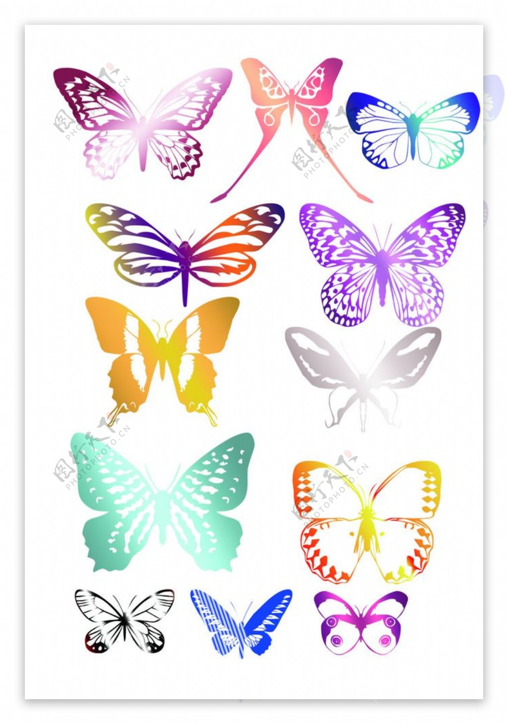 各种蝴蝶分层图