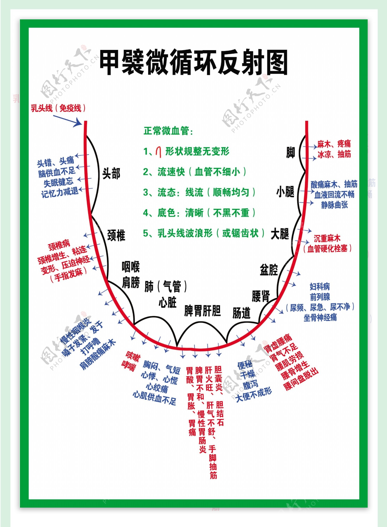 甲襞微循环反射图