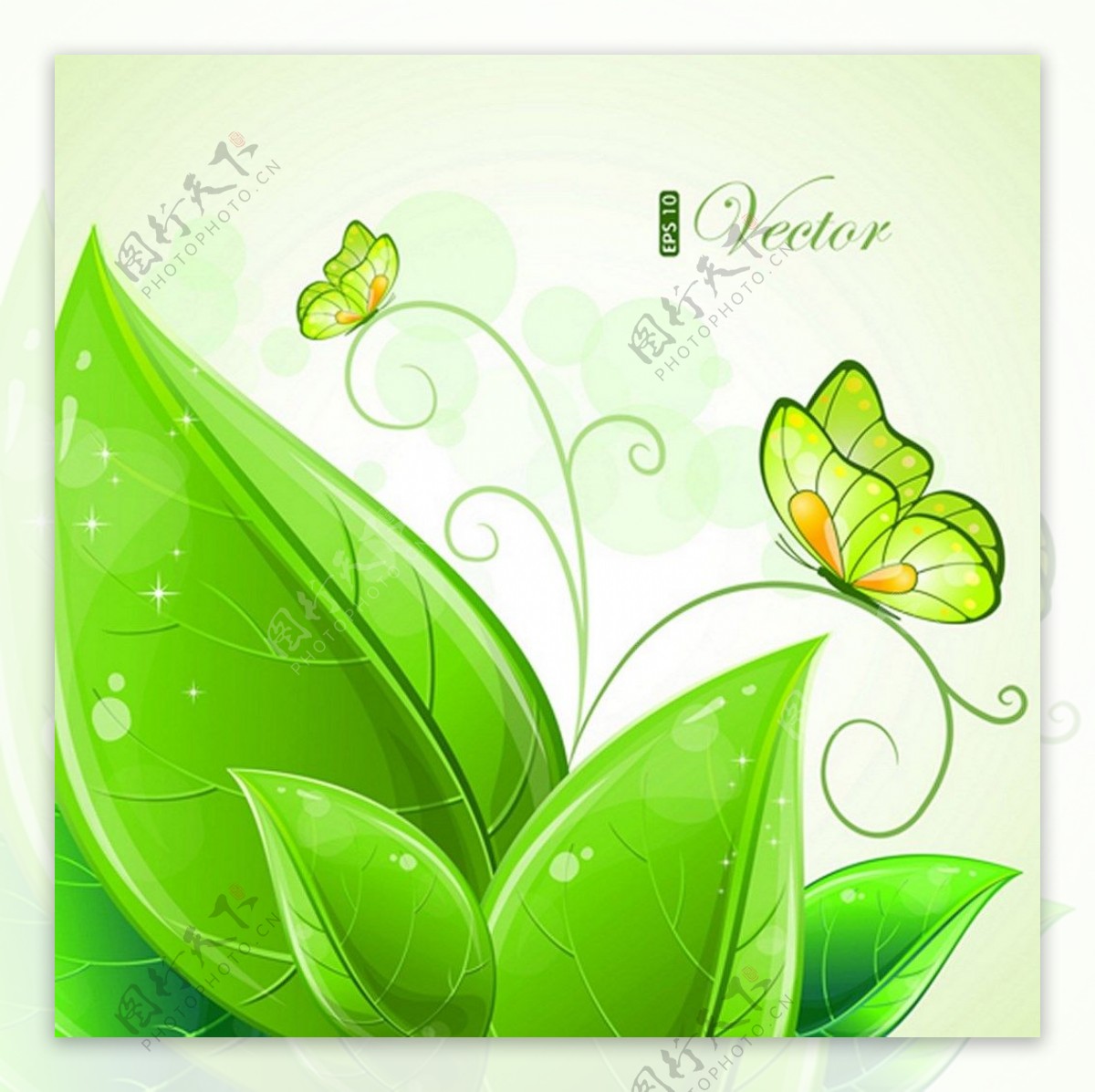 绿色小清新叶子蝴蝶背景图