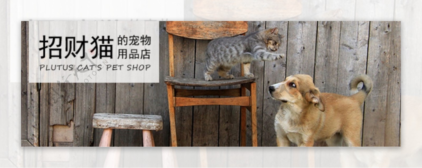 宠物用品广播海报