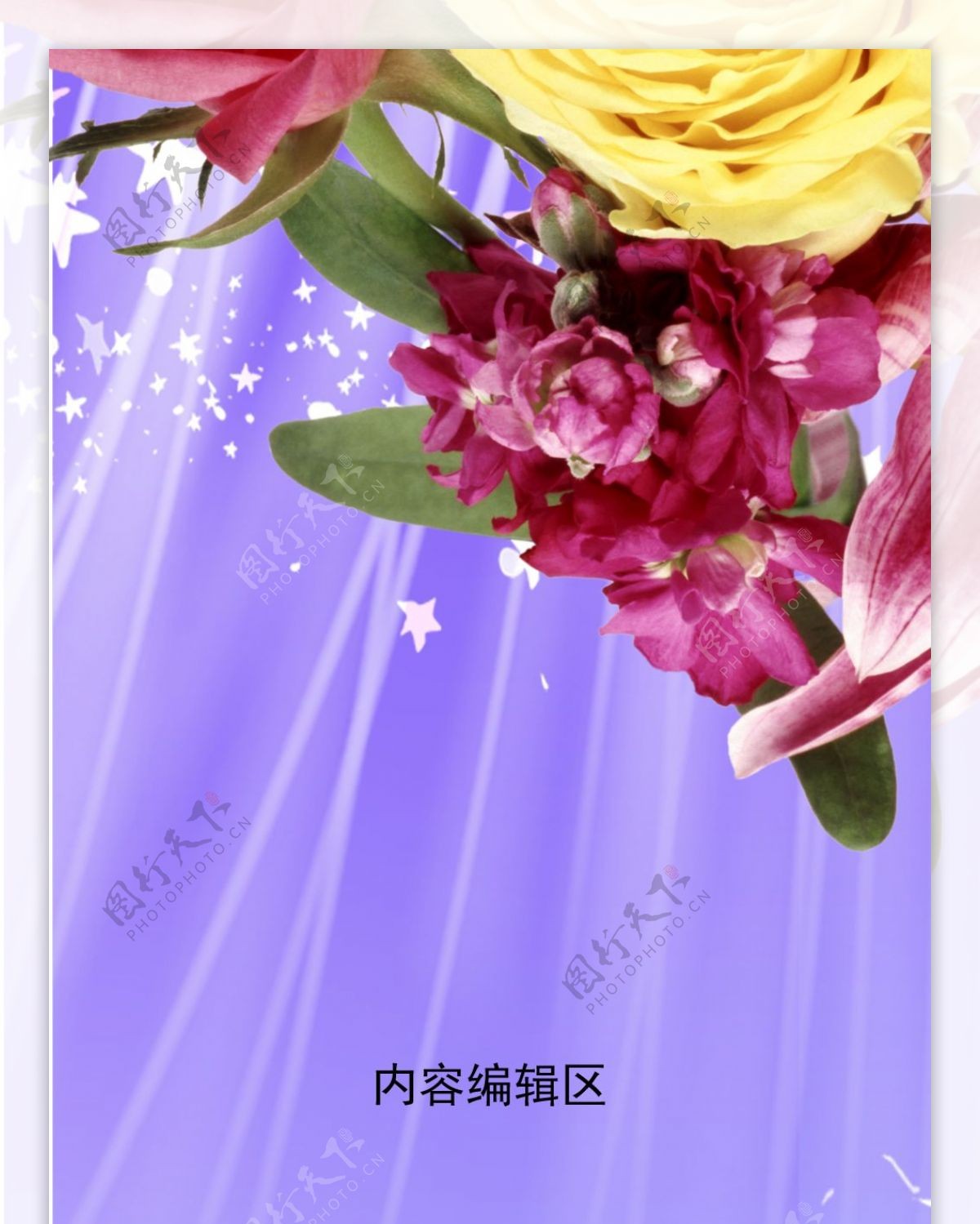 精美紫色花儿背景展板设计素材