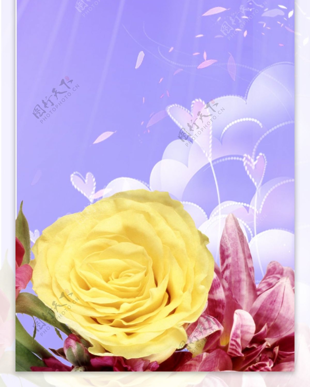 精美紫色花儿背景展板设计素材