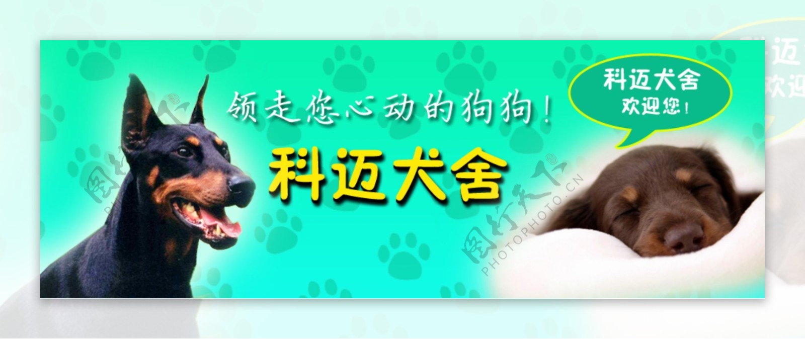 犬舍banner素材