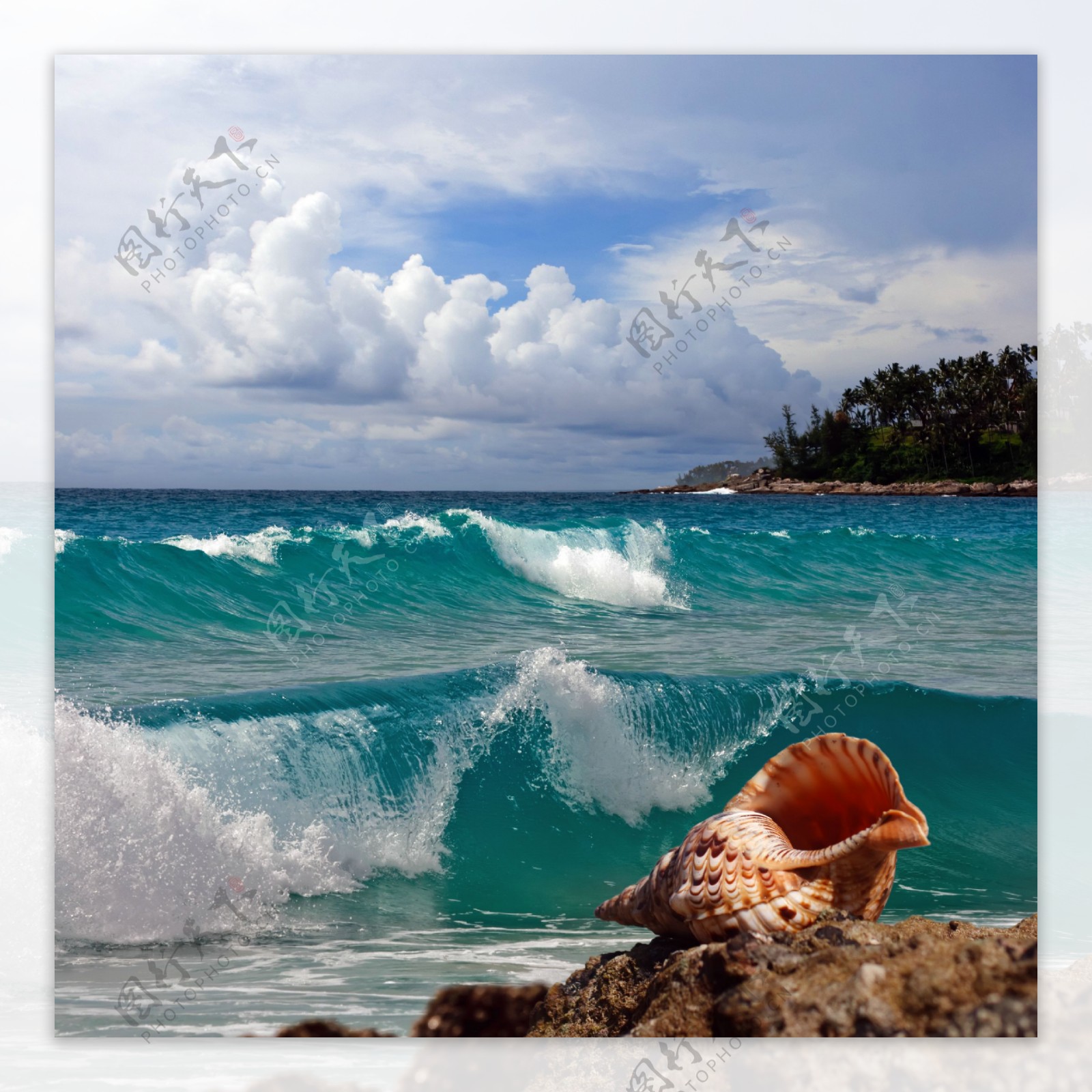 海面浪花与海螺图片
