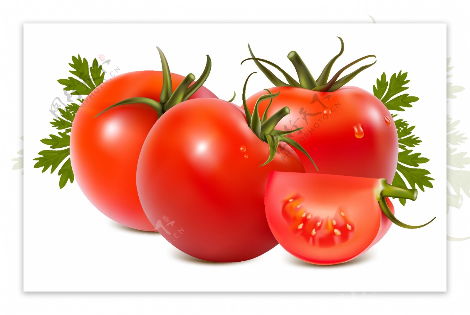 五彩小番茄玉女小黄瓜组合5斤装清脆爽口支持一件代发-阿里巴巴