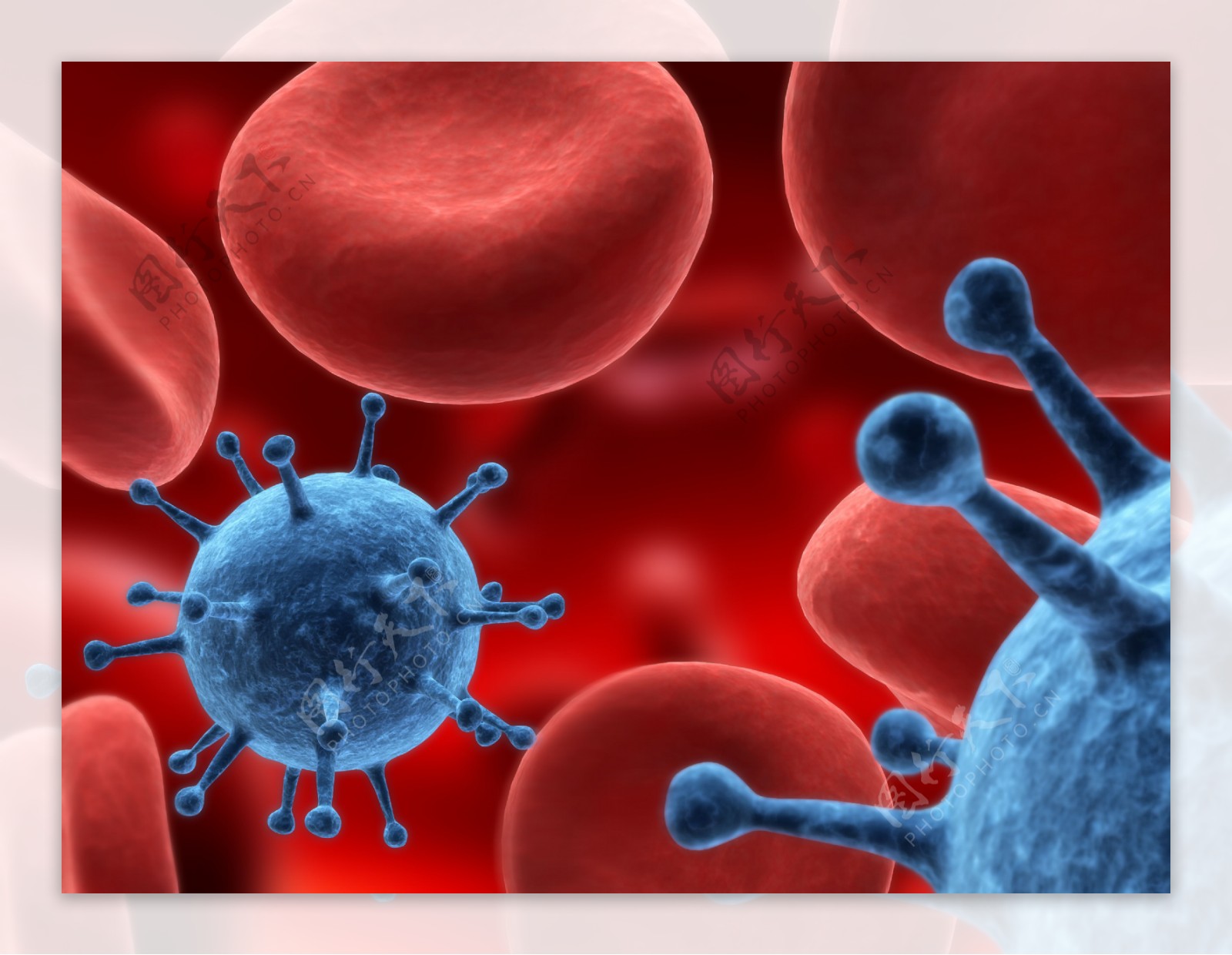 血液中的红细胞和病毒图片