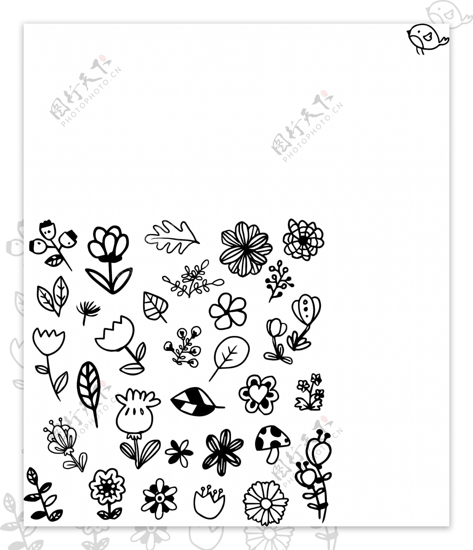 黑白鲜花插图集合