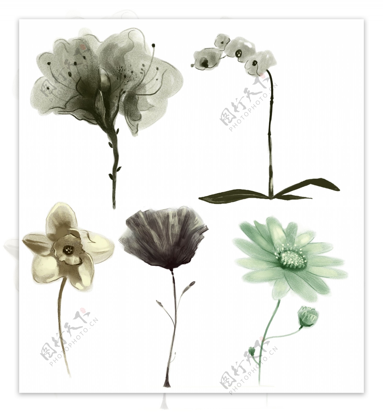 PSD源文件花朵素材水墨花朵手绘风格花朵