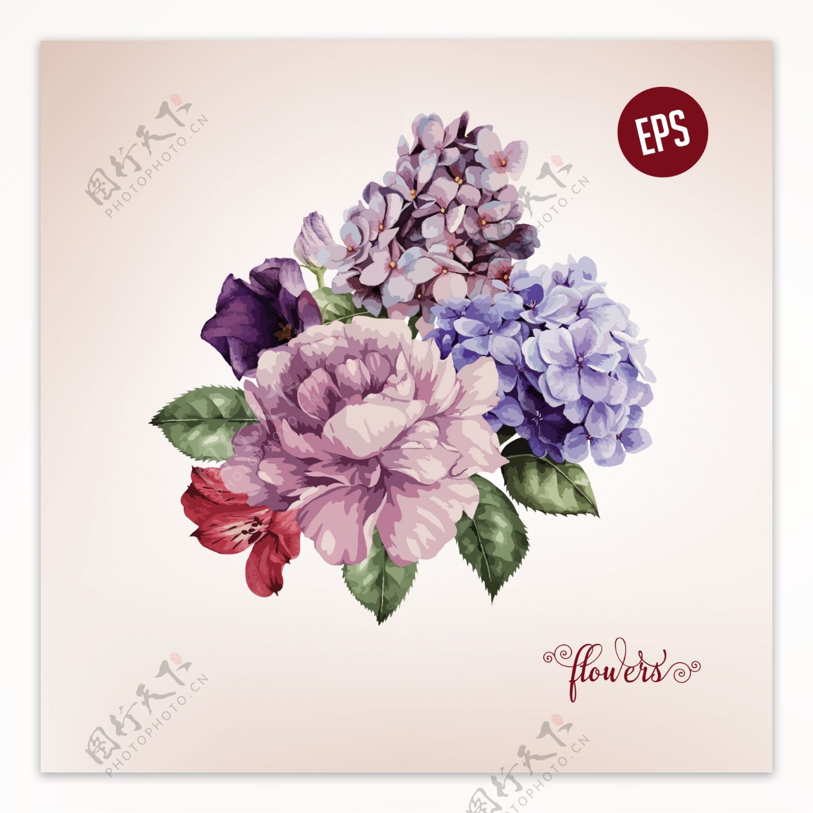 紫色玫瑰花蝴蝶兰矢量印刷高清设计素材