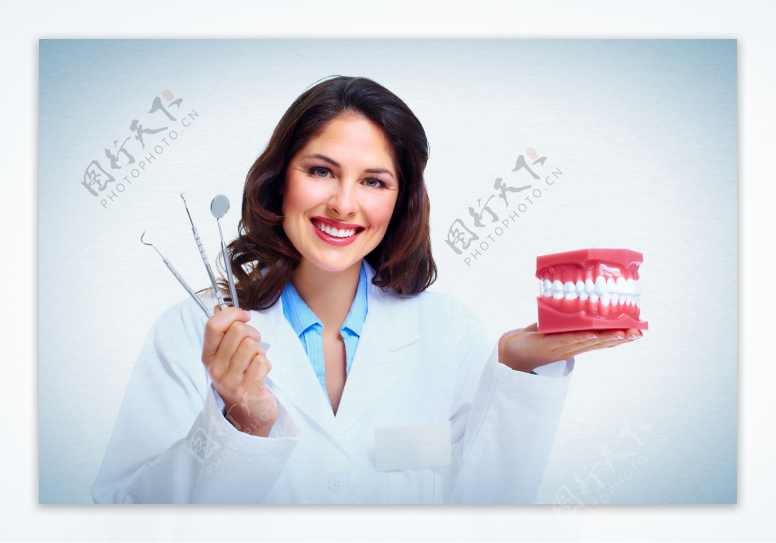 拿着牙齿模型的美女医生图片