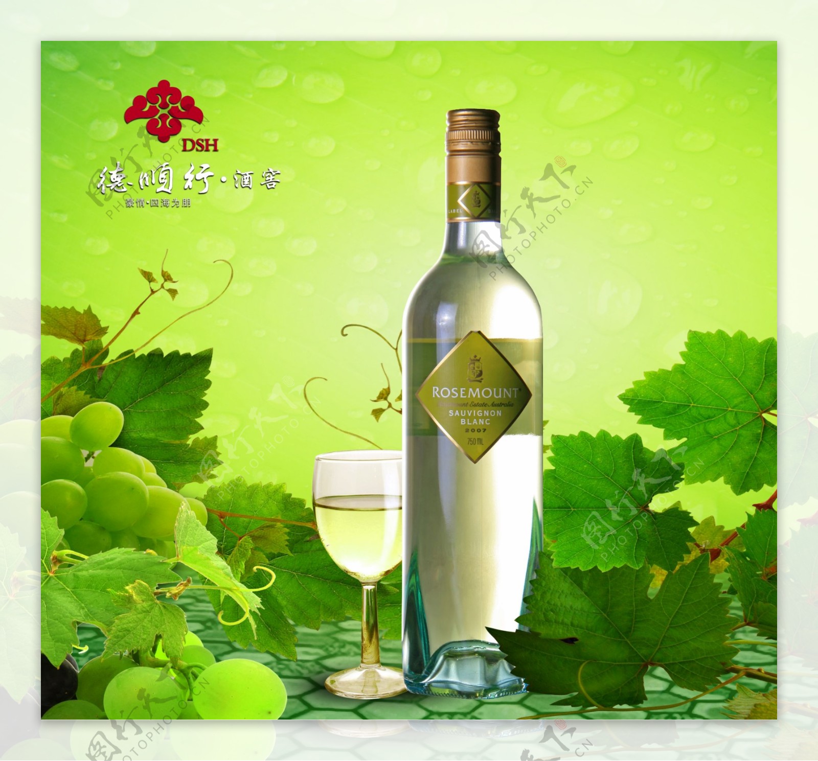 绿色葡萄酒广告模板