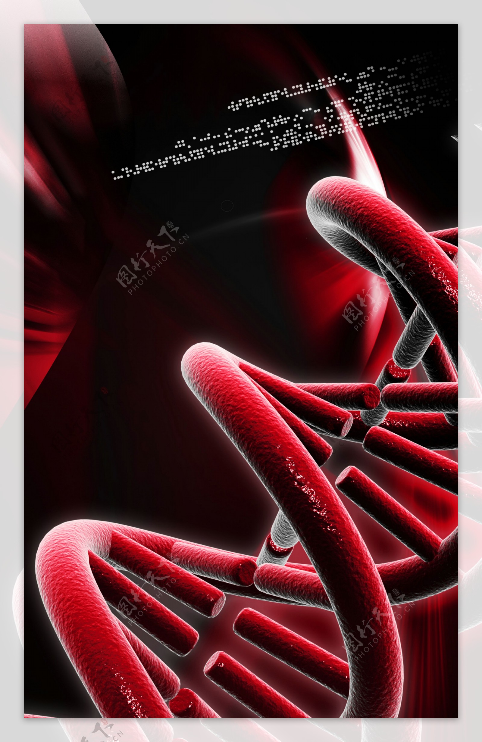 红色DNA双螺旋结构图片