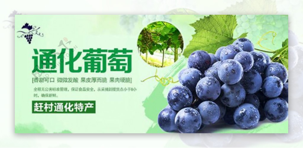 通化葡萄淘宝水果海报设计