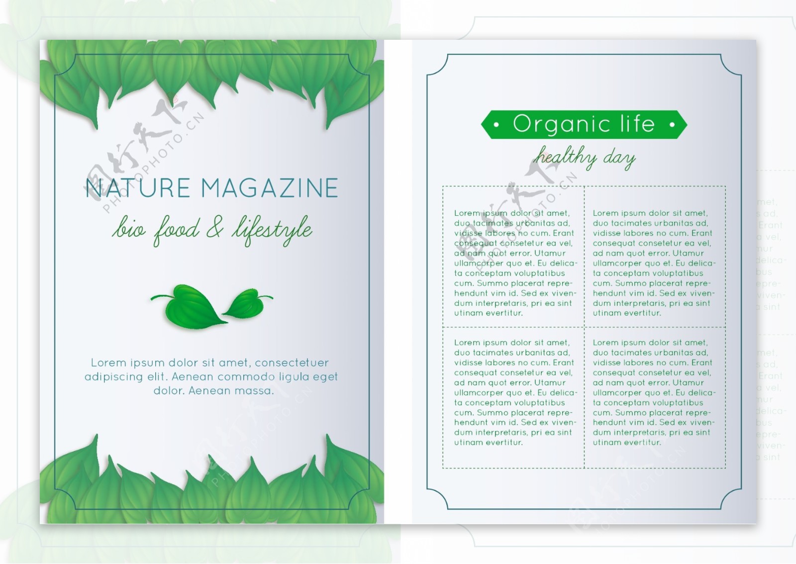 绿色树叶的自然杂志