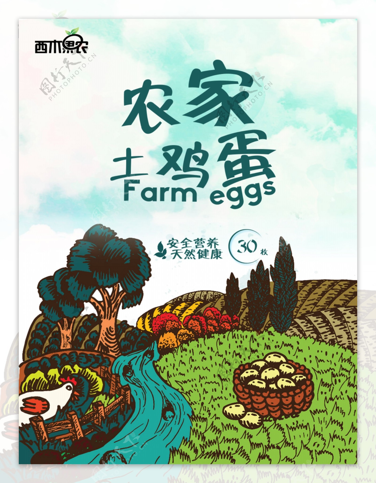 农家土鸡蛋插画海报