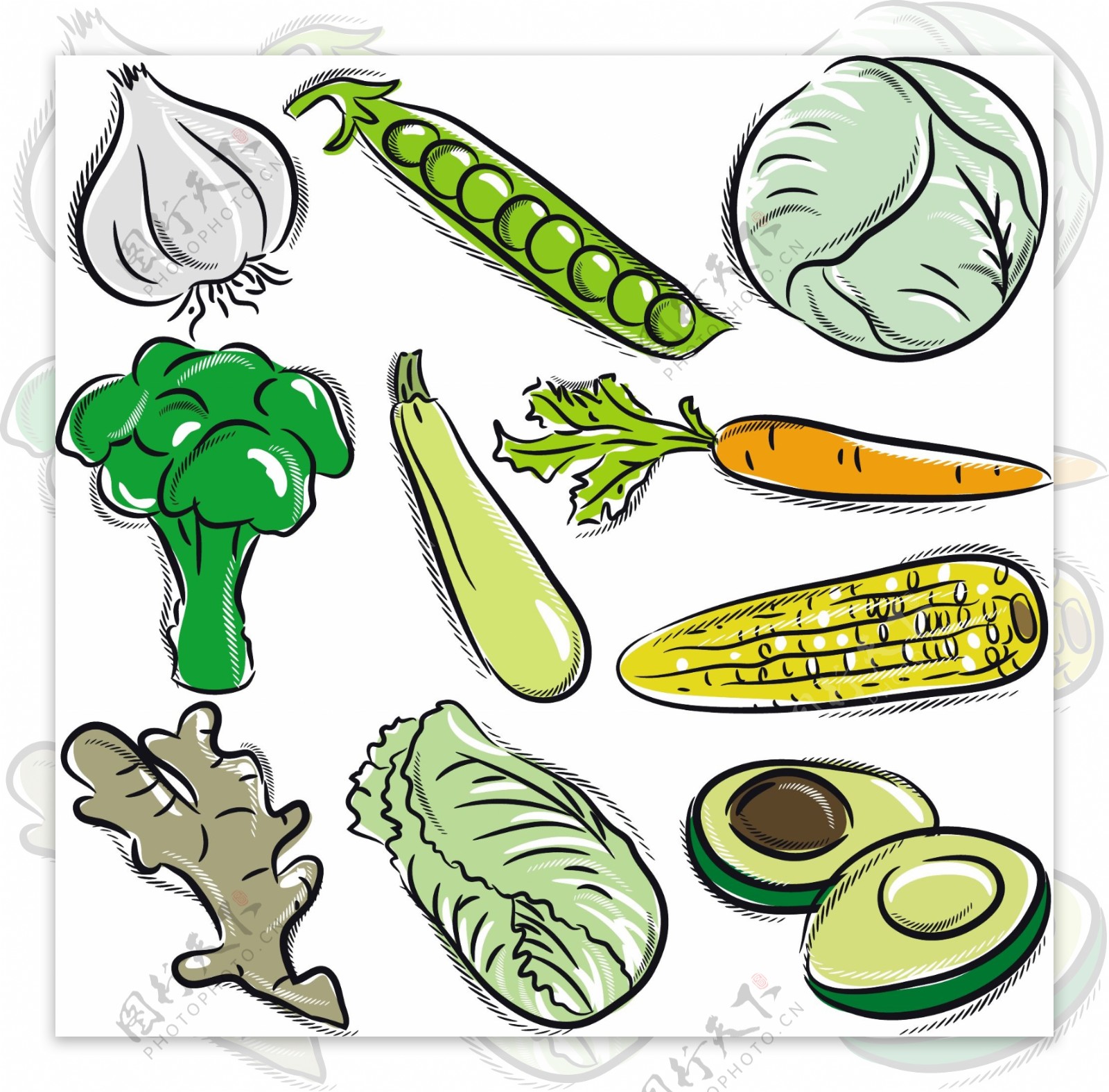 手绘蔬菜玉米素材图片