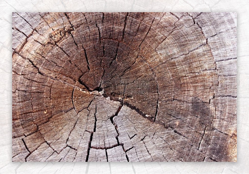 木头桩抽象背景图案