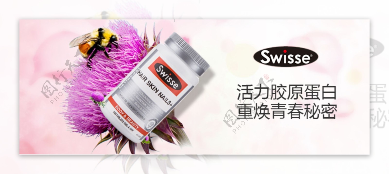 swise蛋白片