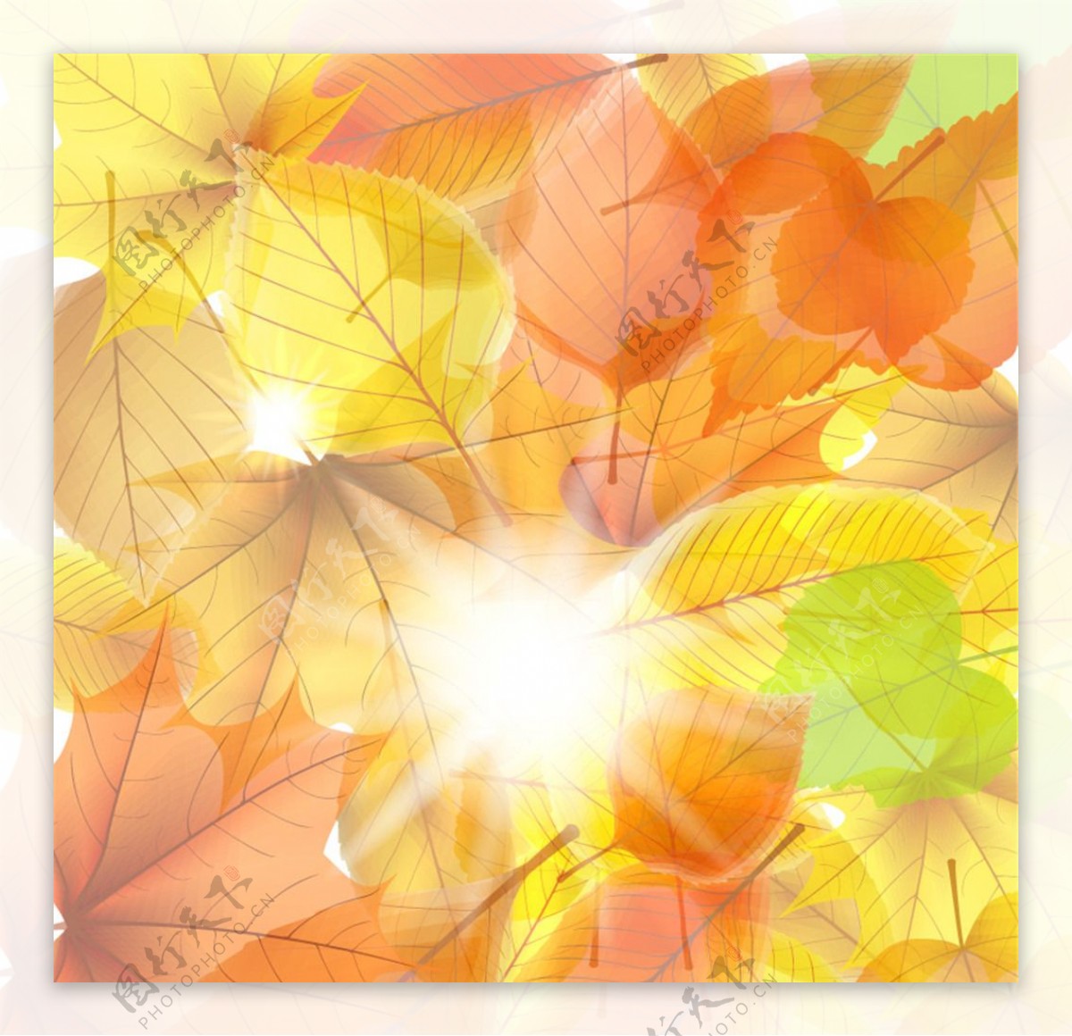 明媚阳光与秋叶背景矢量素材