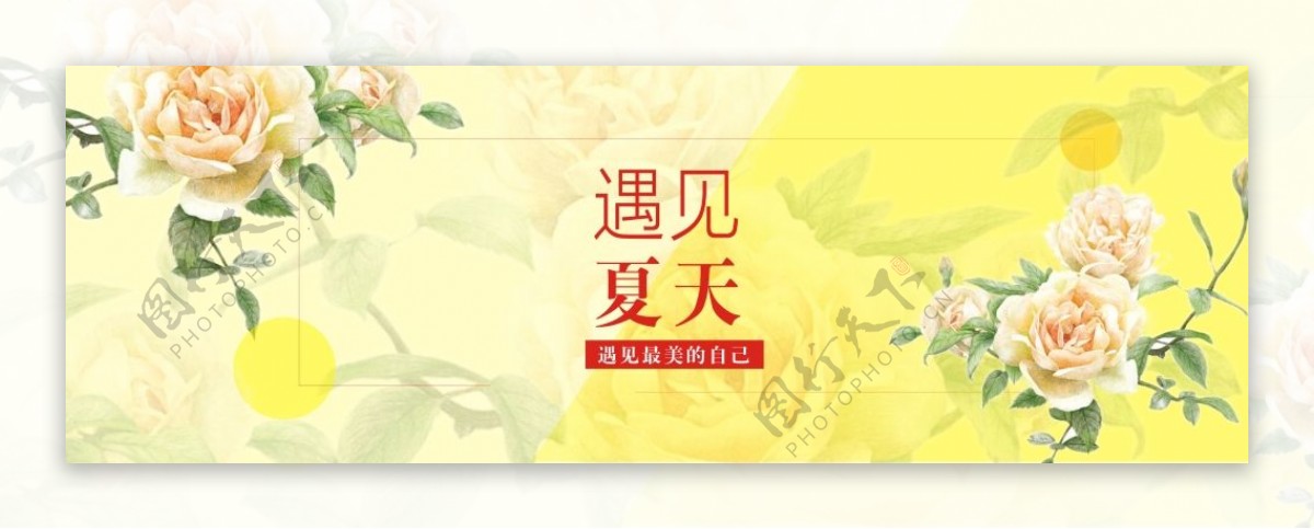 banner背景
