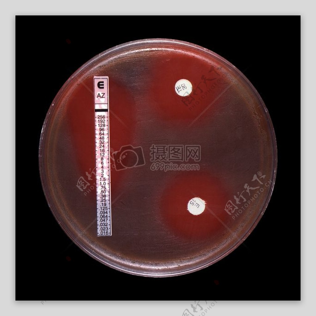 抗菌Susceptibillity测试E测试和纸片扩散法