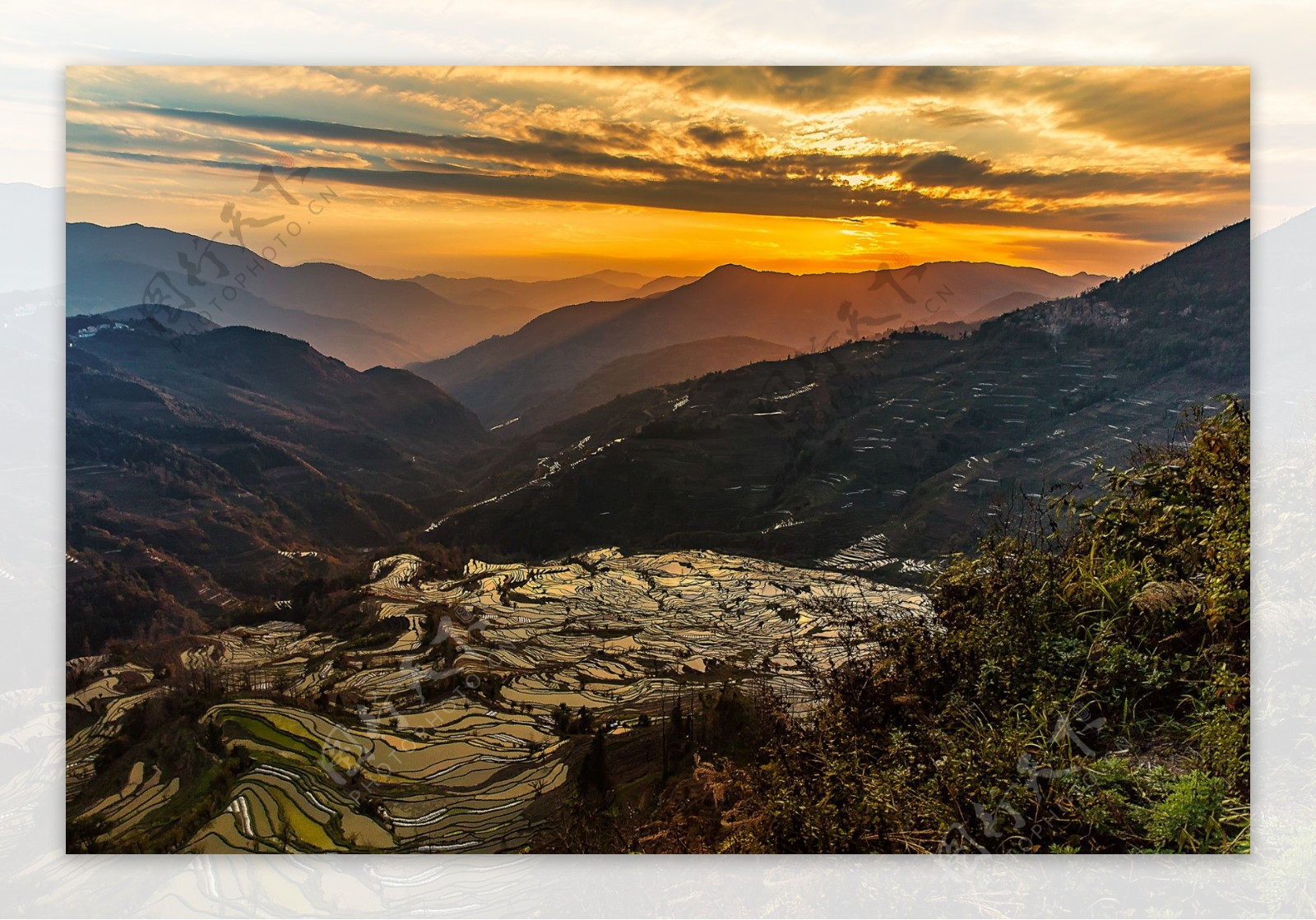 云南元阳梯田风景