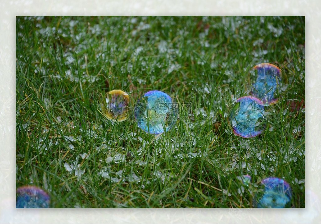 草地上的肥皂泡