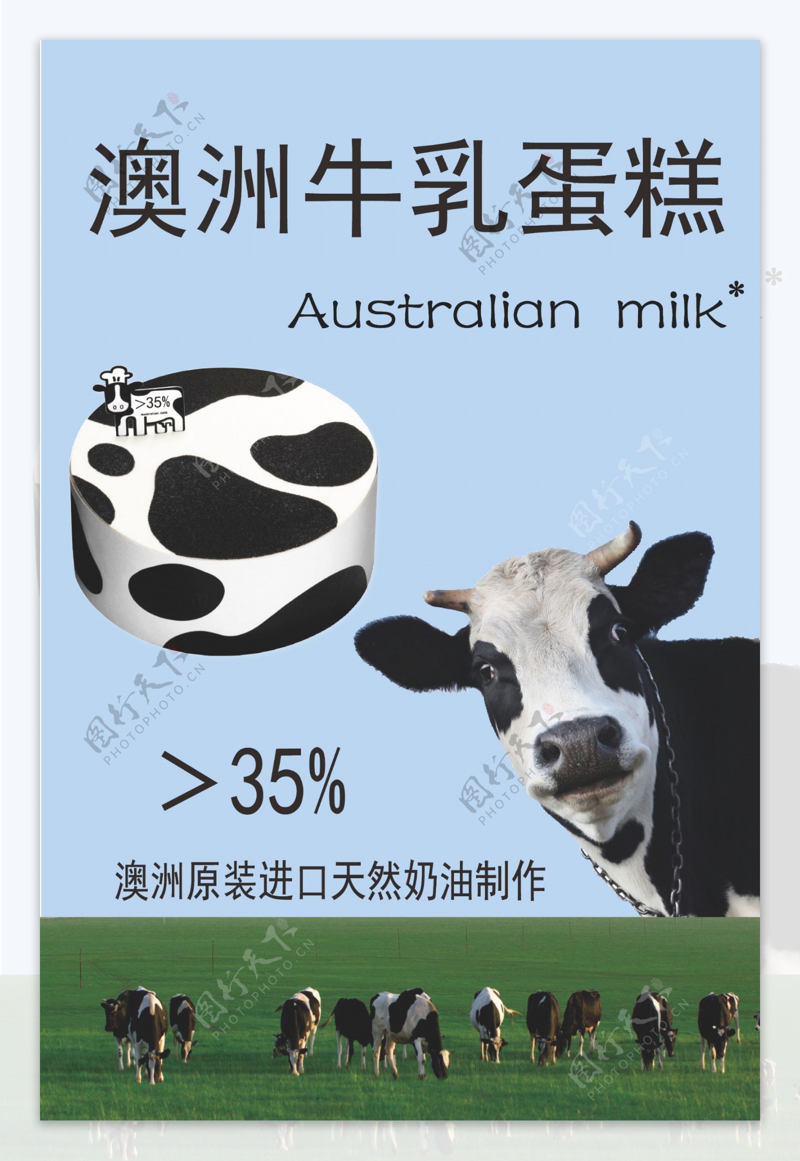 澳洲牛乳海报