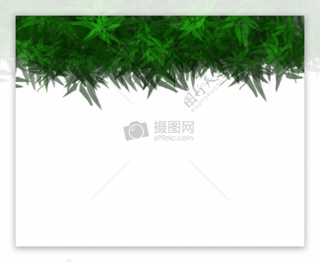 绿色的竹子树叶