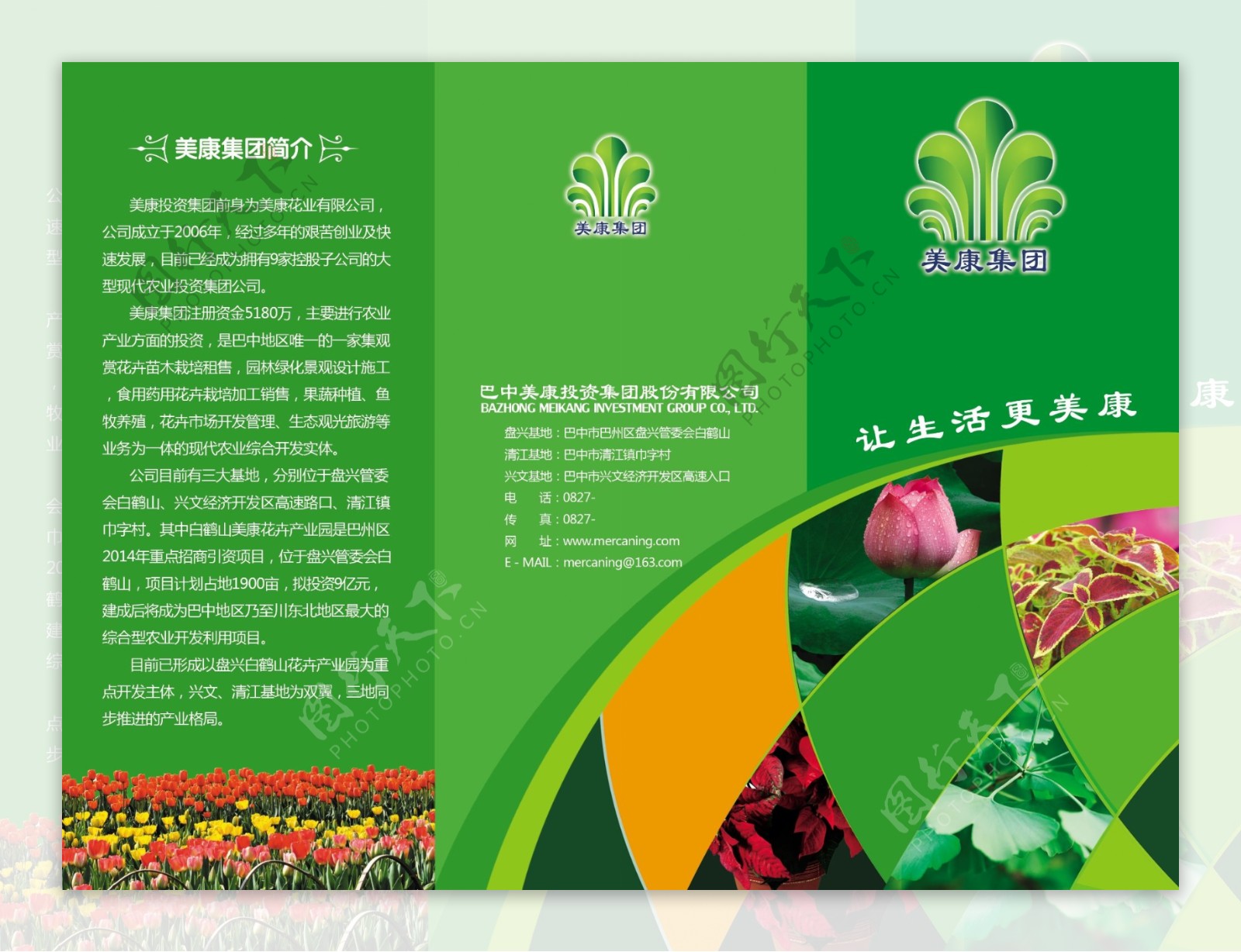 花卉宣传折页图片