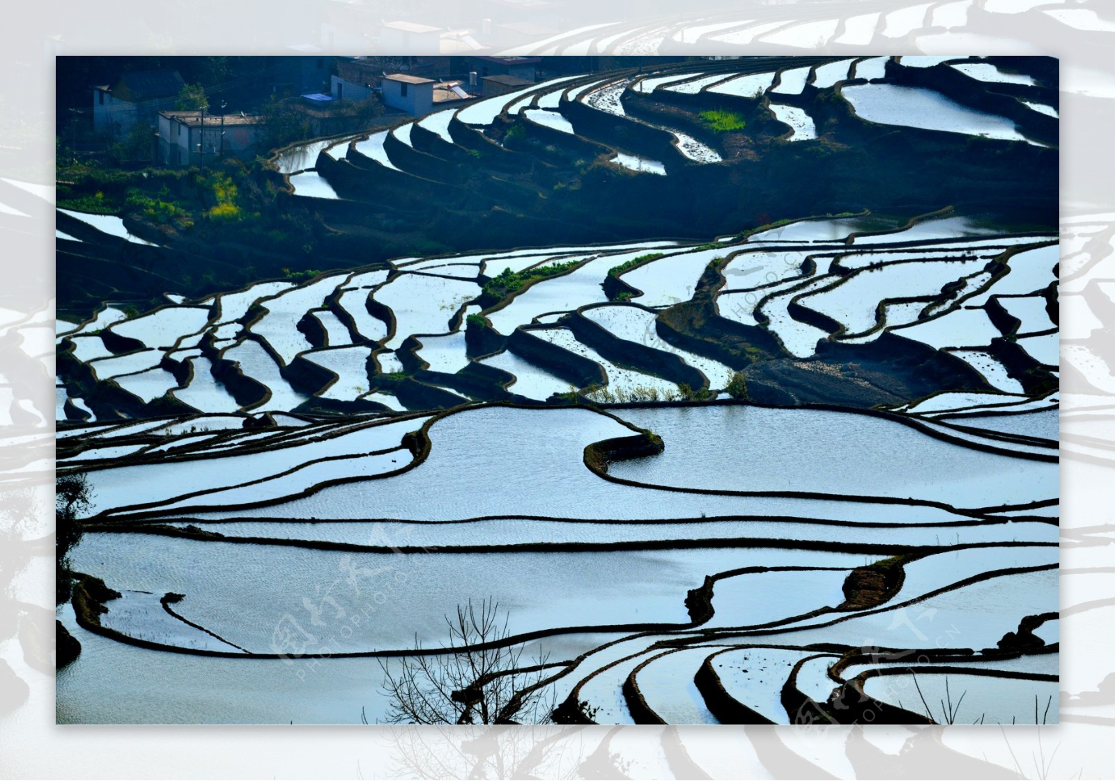 云南元阳梯田风景