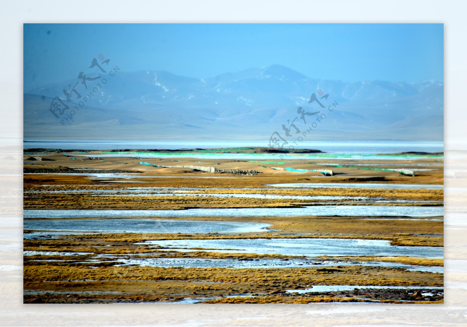 青海可可西里风景