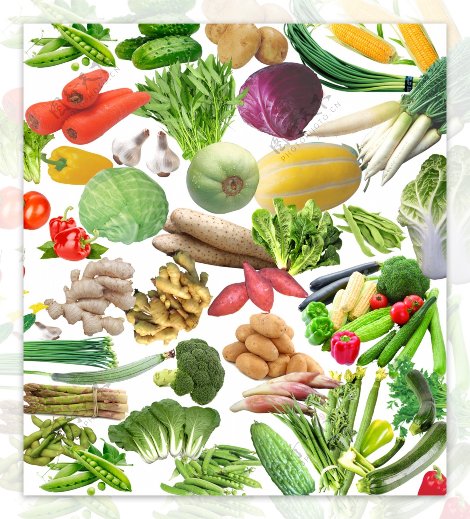 蔬菜集合