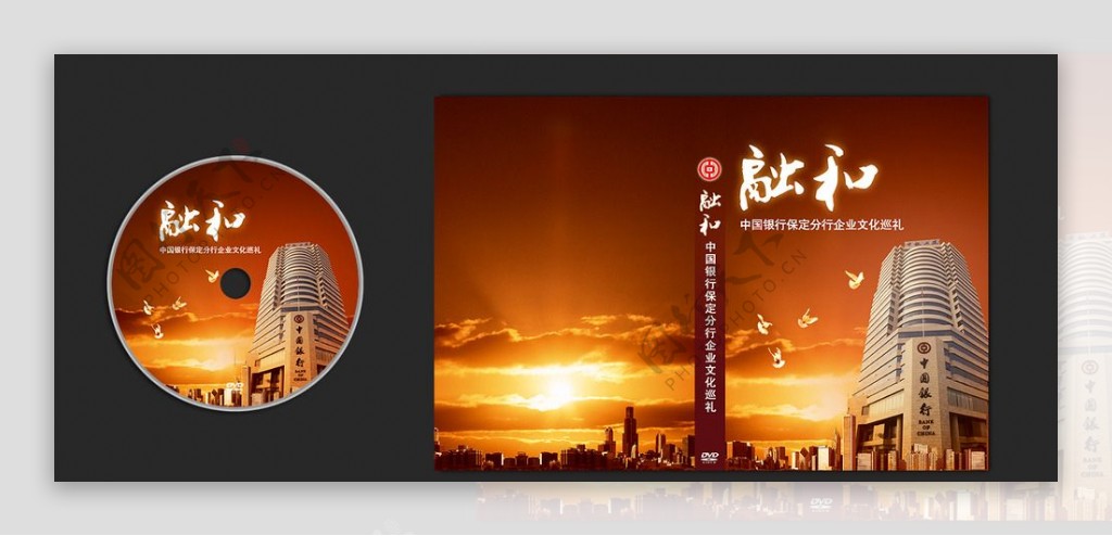 中国银行之融合光盘包装设计图片