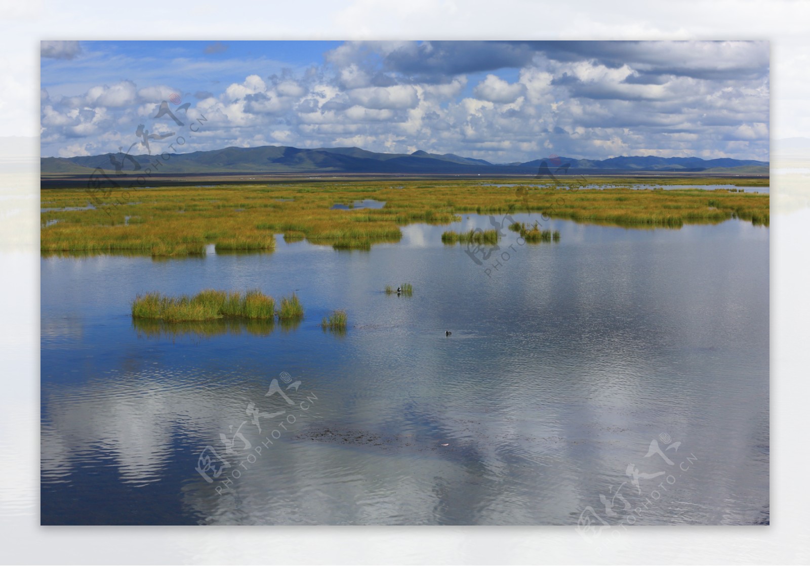 四川花湖风景