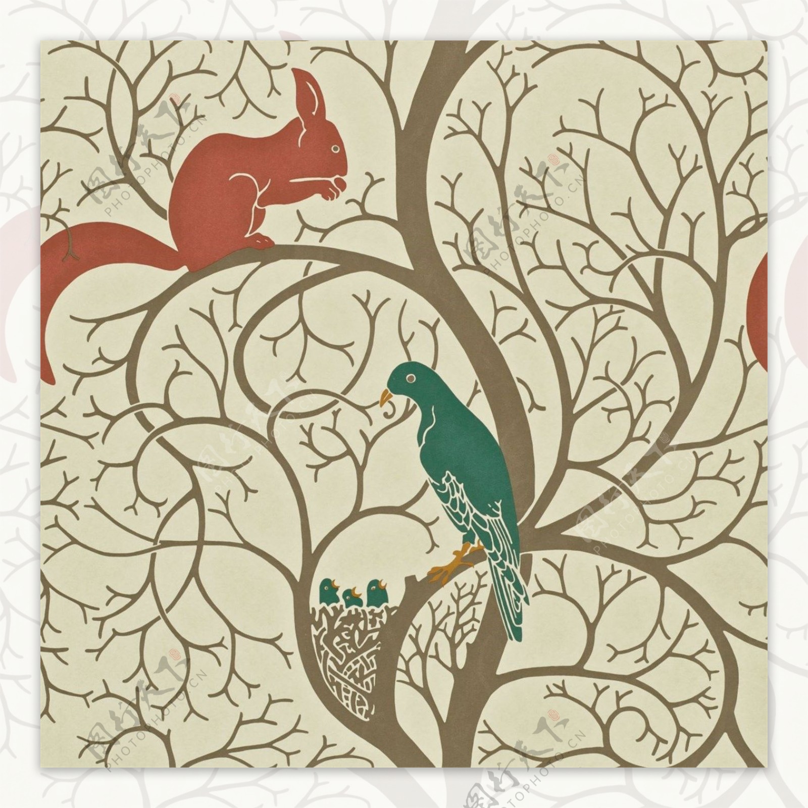 米色树干上的绿色小鸟红色松鼠壁纸