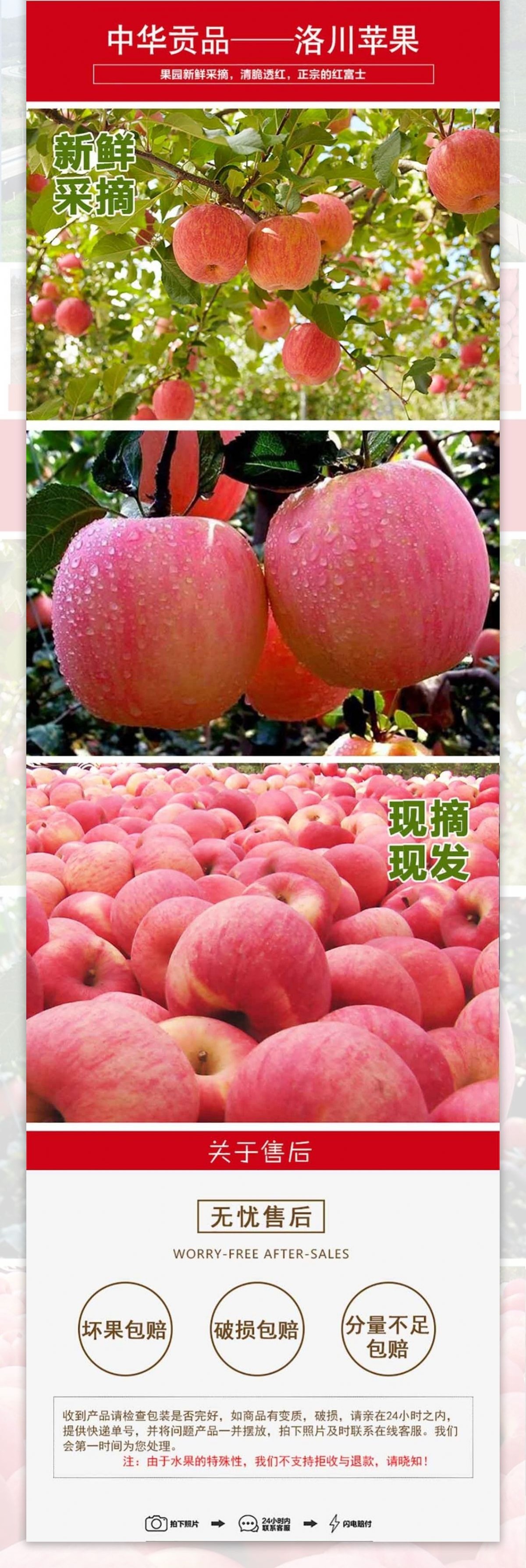 洛川苹果1详情页水果