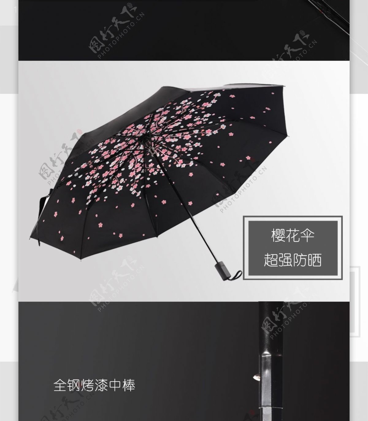 樱花雨伞