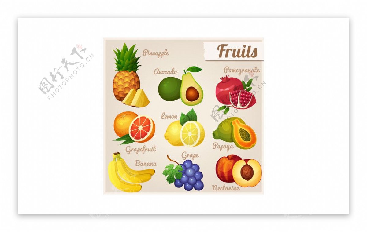 大量的各种各样的水果图标矢量
