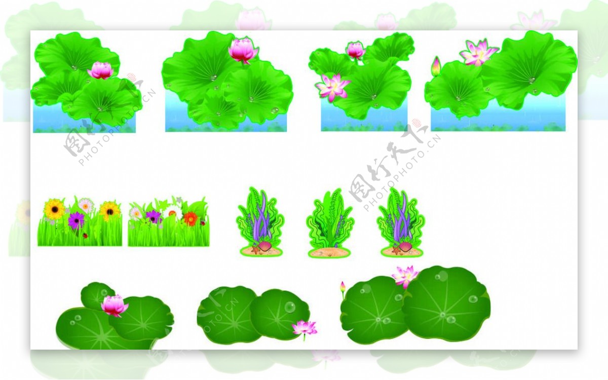 矢量荷花道具
