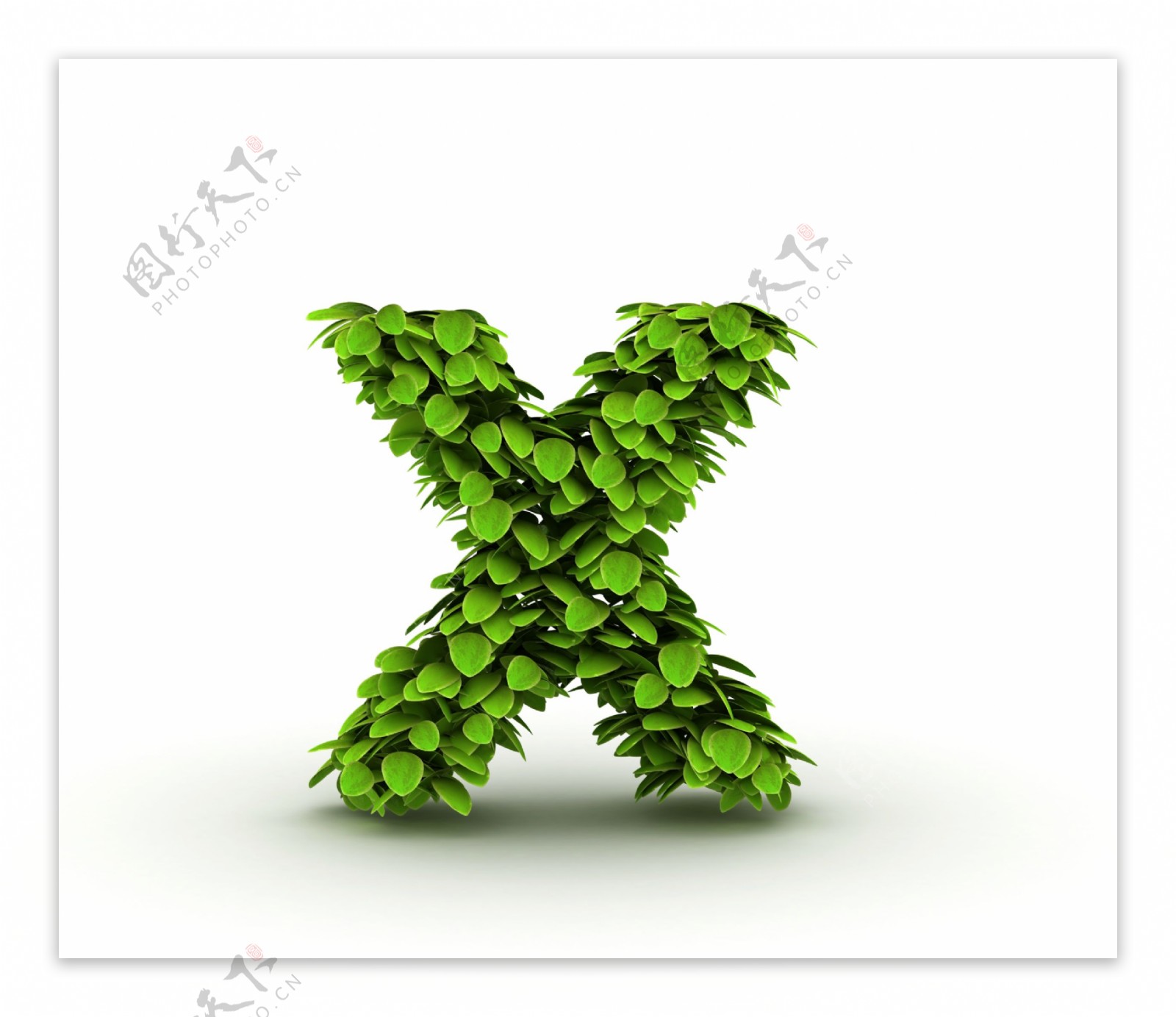 绿叶组成的字母x图片