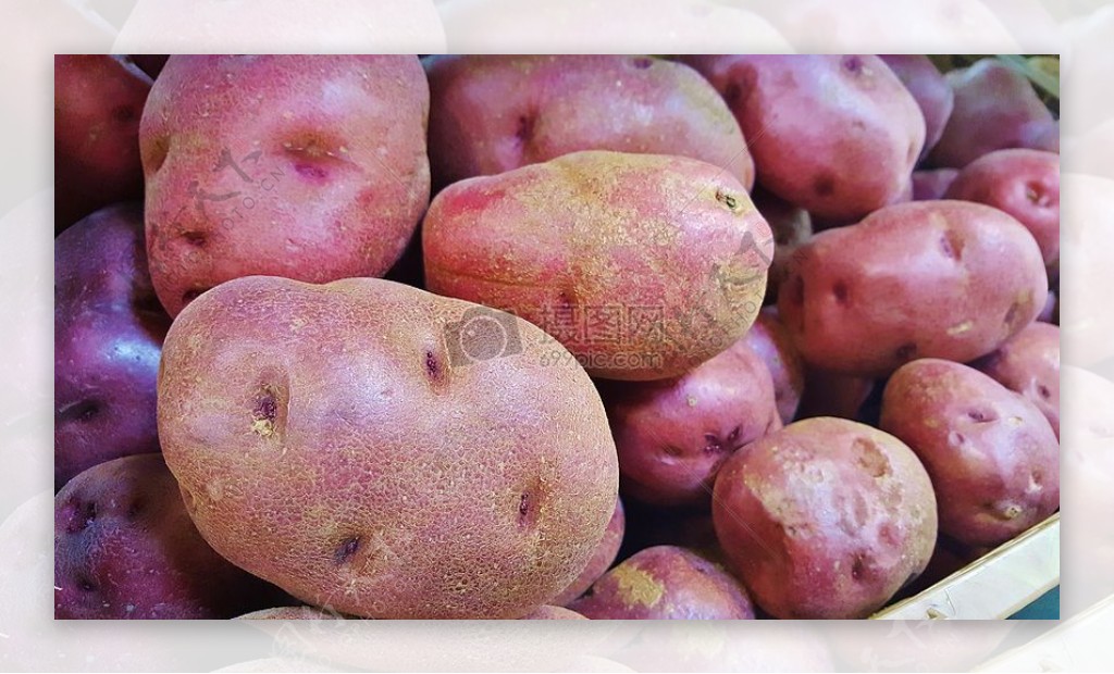 粉红色的土豆