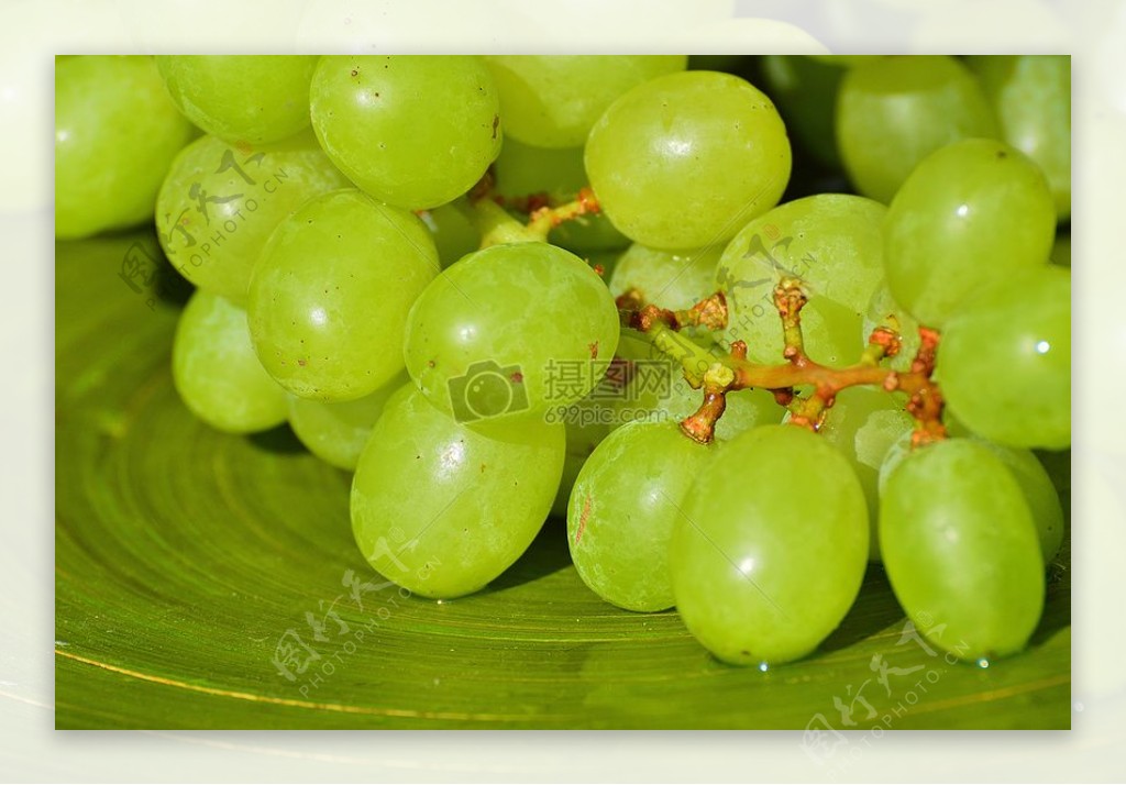 美味的绿葡萄