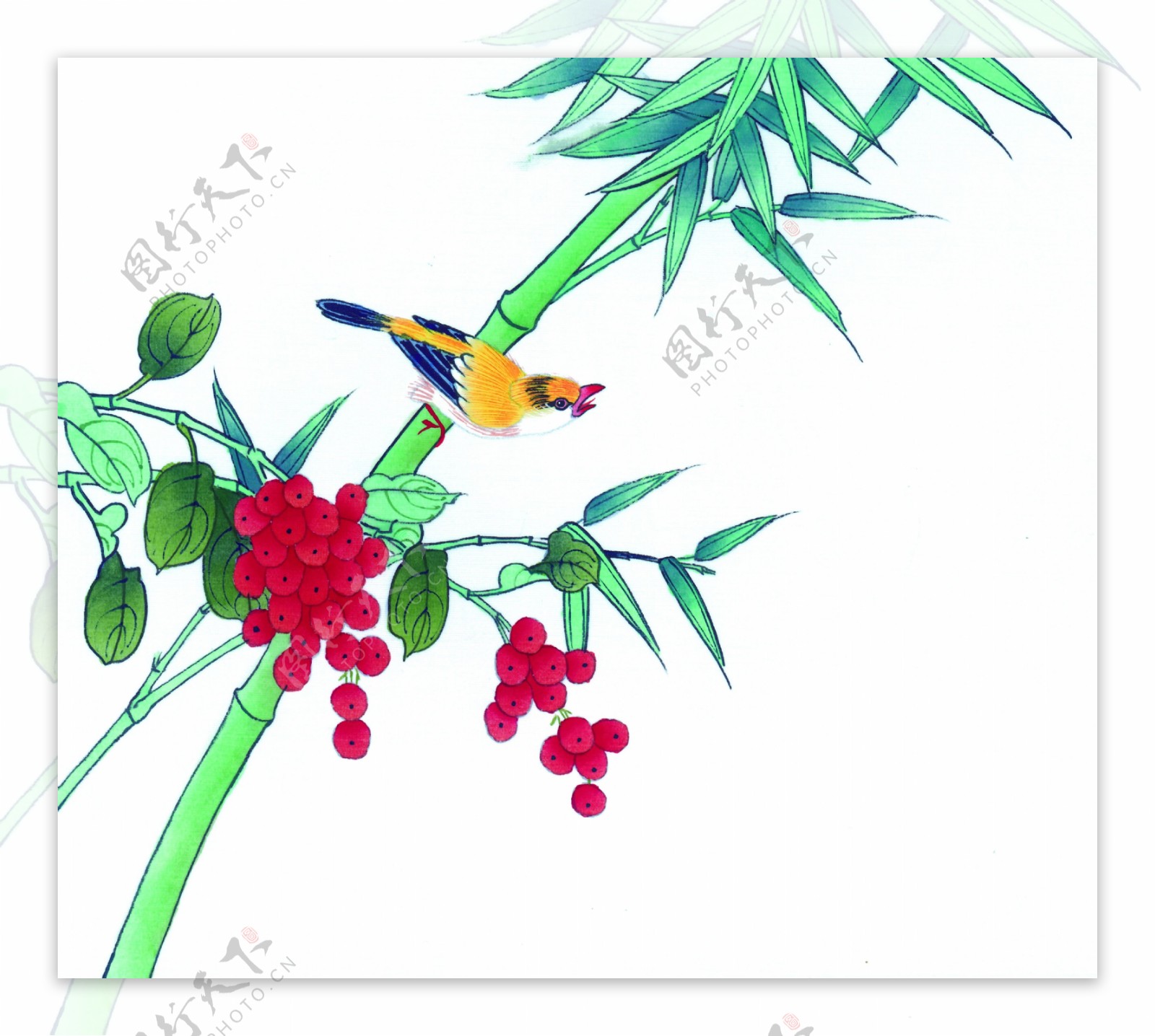 竹子野果与小鸟图片