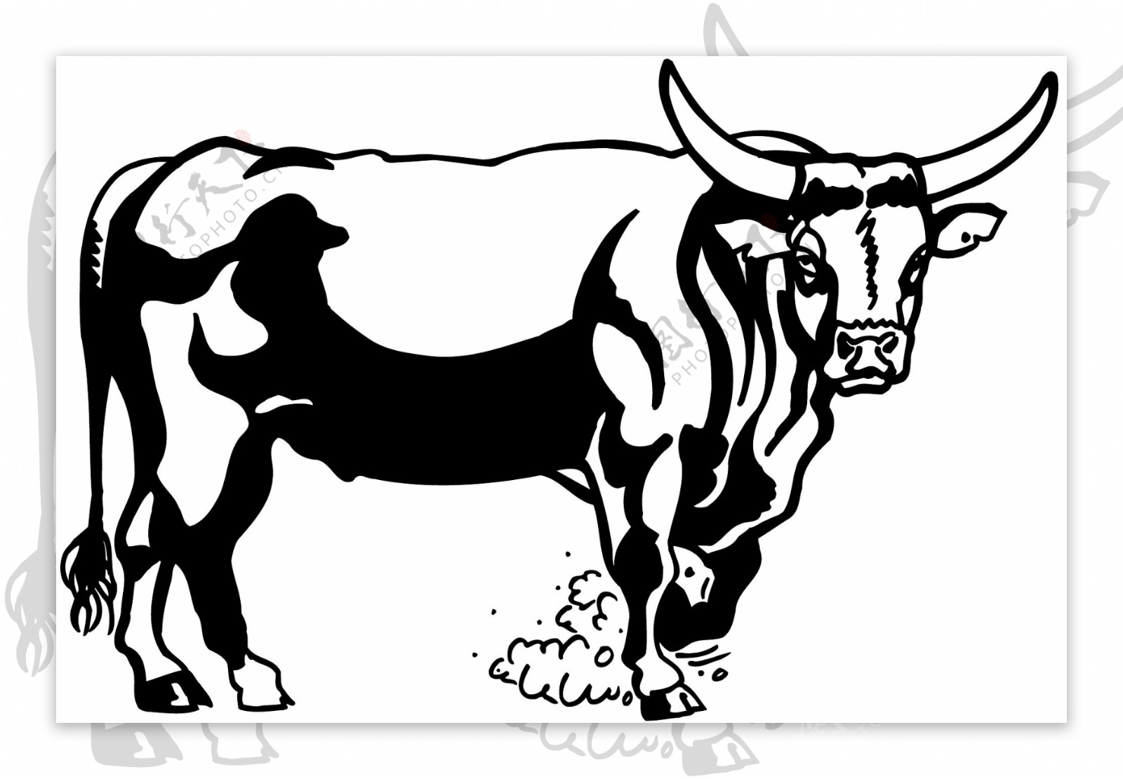 牛家禽家畜矢量素材eps格式0049