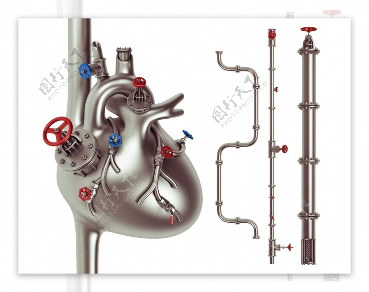水管阀门组成的心脏血管