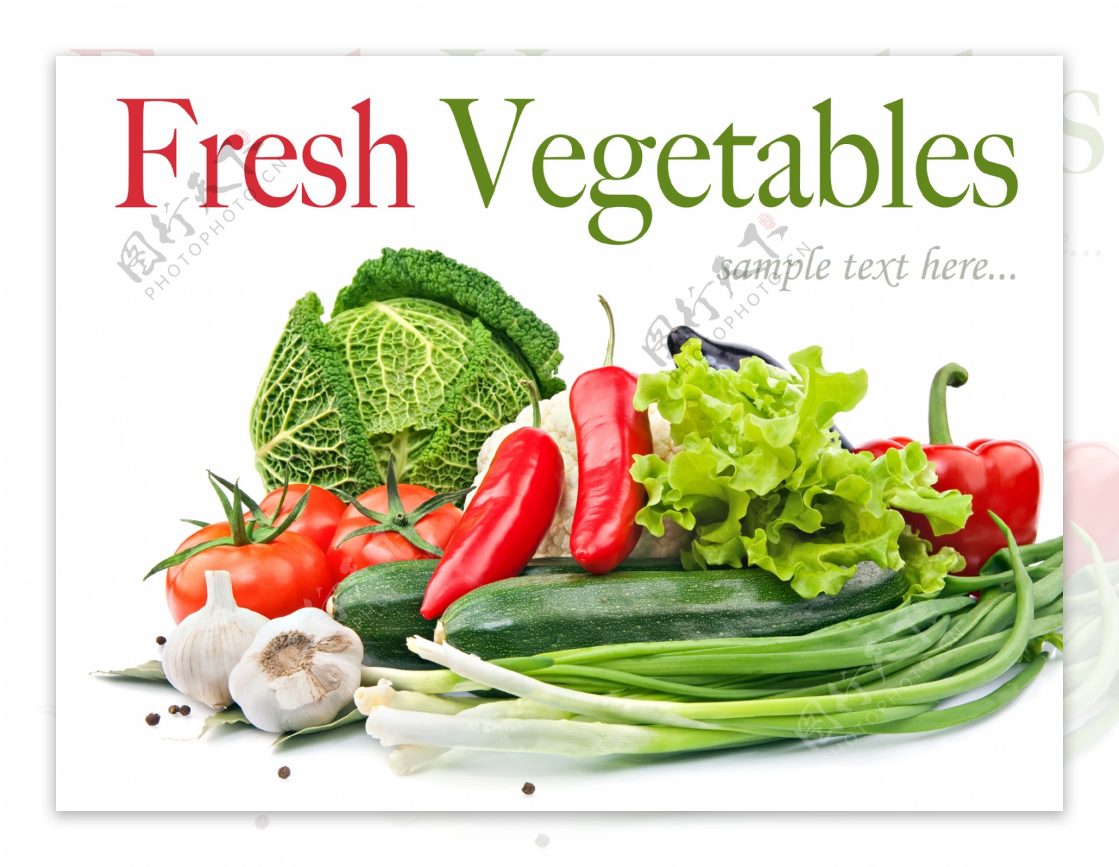各种蔬菜图片