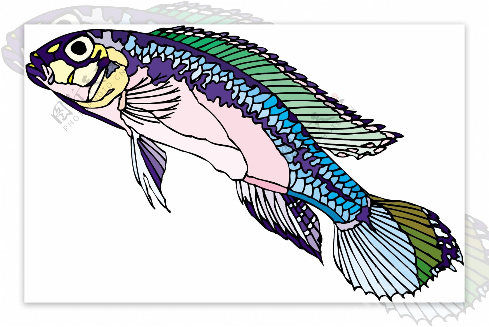 五彩小鱼水生动物矢量素材EPS格式0185
